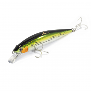 EXSENCE BLAST SHAD 170F