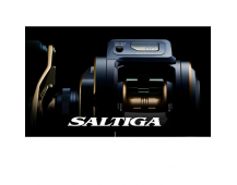 Катушка Daiwa 21 Saltiga IC 300H-SJ